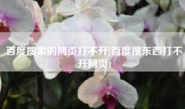 百度搜索的网页打不开(百度搜东西打不开网页)