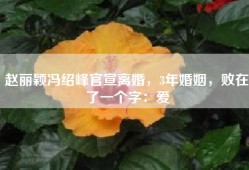 赵丽颖冯绍峰官宣离婚，3年婚姻，败在了一个字：爱