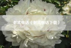 老式电话（老式电话下载）