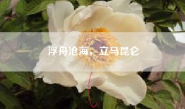 浮舟沧海，立马昆仑