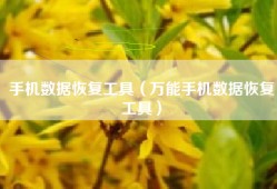 手机数据恢复工具（万能手机数据恢复工具）