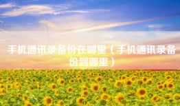 手机通讯录备份在哪里（手机通讯录备份到哪里）