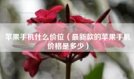苹果手机什么价位（最新款的苹果手机价格是多少）