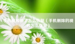 手机视频删了怎么恢复（手机删除的视频怎么恢复）