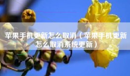 苹果手机更新怎么取消（苹果手机更新怎么取消系统更新）