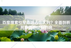 百度搜索引擎市场占比大吗？全面剖析其市场地位与影响