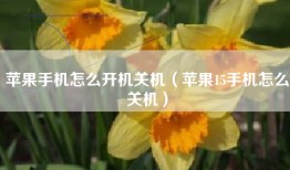 苹果手机怎么开机关机（苹果15手机怎么关机）