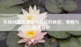 乐陵网站流量飙升背后的秘密，策略与成效分析