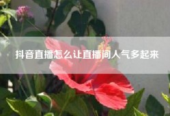 抖音直播怎么让直播间人气多起来