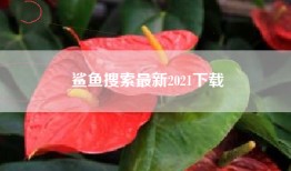 鲨鱼搜索最新2021下载