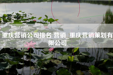 重庆营销公司排名 营销_重庆营销策划有限公司
