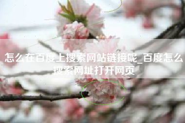 怎么在百度上搜索网站链接呢_百度怎么搜索网址打开网页