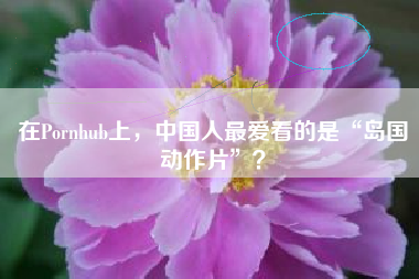 在hub上，中国人最爱看的是“岛国动作片”？