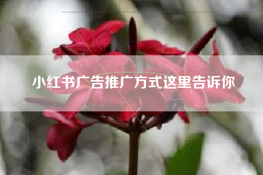 小红书广告推广方式这里告诉你