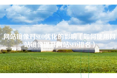 网站镜像对SEO优化的影响（如何使用网站镜像提升网站SEO排名）