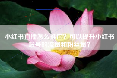 小红书直播怎么推广？可以提升小红书账号的流量和粉丝量？