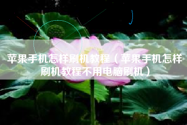苹果手机怎样刷机教程（苹果手机怎样刷机教程不用电脑刷机）