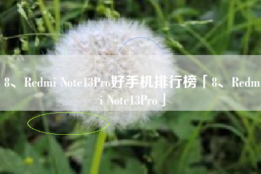 8、Redmi Note13Pro好手机排行榜「8、Redmi Note13Pro」