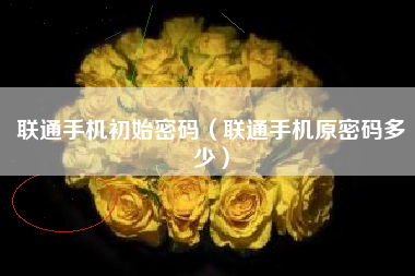 联通手机初始密码（联通手机原密码多少）