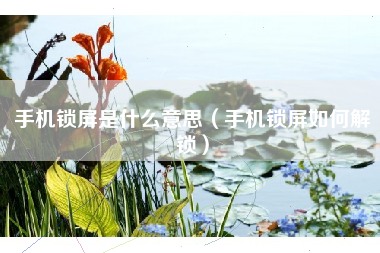 手机锁屏是什么意思（手机锁屏如何解锁）