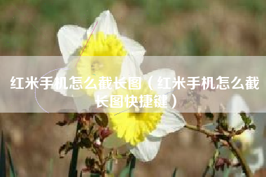 红米手机怎么截长图（红米手机怎么截长图快捷键）