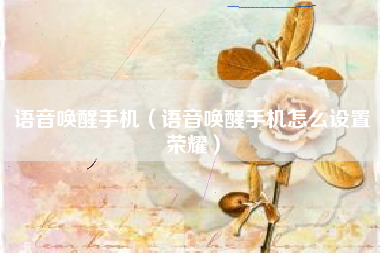 语音唤醒手机（语音唤醒手机怎么设置荣耀）