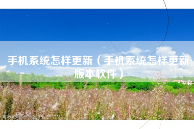 手机系统怎样更新（手机系统怎样更新版本软件）