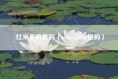 红米手机抢购（redmig2021抢购）
