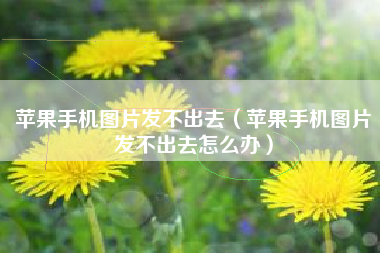 苹果手机图片发不出去（苹果手机图片发不出去怎么办）