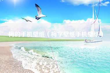 梅的手机壁纸（梅字壁纸手机壁纸）