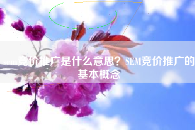 sem竞价推广是什么意思？SEM竞价推广的基本概念