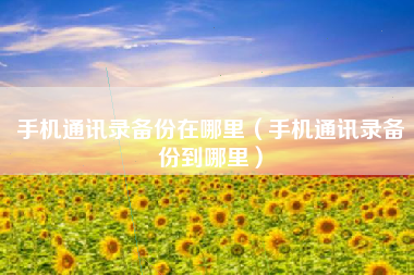 手机通讯录备份在哪里（手机通讯录备份到哪里）