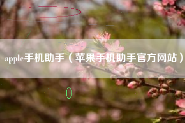apple手机助手（苹果手机助手官方网站）
