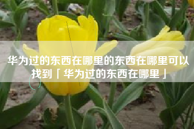 华为过的东西在哪里的东西在哪里可以找到「华为过的东西在哪里」