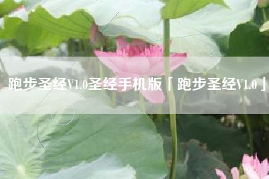 跑步圣经V1.0圣经手机版「跑步圣经V1.0」